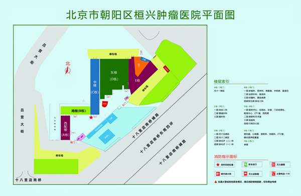 打开操逼视频北京市朝阳区桓兴肿瘤医院平面图